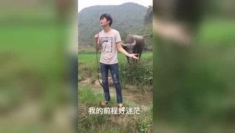 国产福利视频抄底视频,揭秘抄底策略,财富增长新篇章