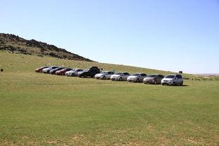 青青草原国产,绿色生态与和谐发展的奇迹之旅